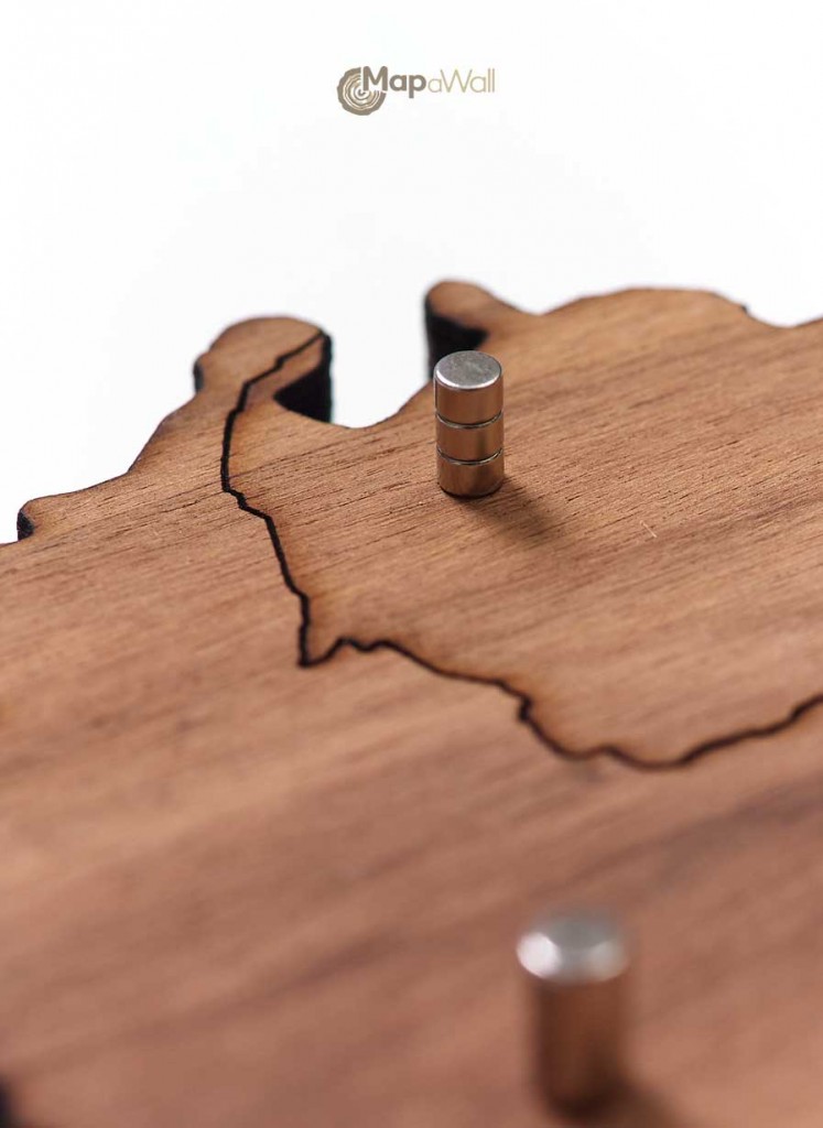 Wooden world map pinpoints