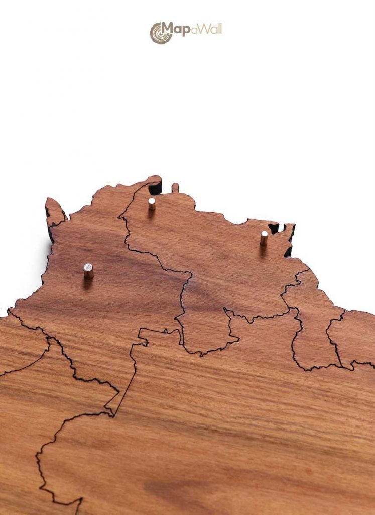Wooden world maps with magnetic pinpoints 2